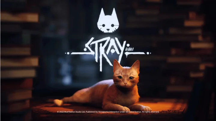 Is Stray on Steam?