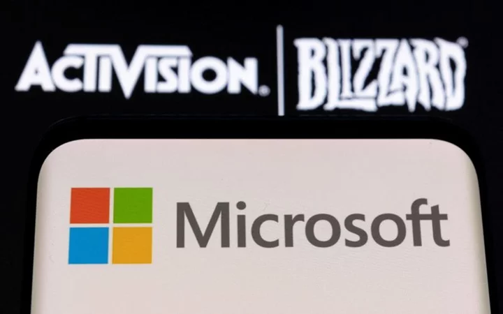 US FTC asks court to temporarily halt Microsoft's acquisition of Activision